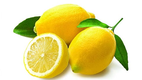 lemon : केसांचं निरोगी आयुष्य लिंबुमुळेच शक्य
