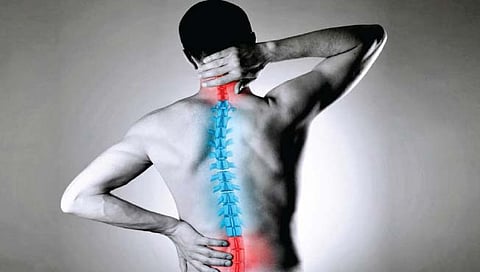 मणक्याच्या दुखण्याकडे नको दुर्लक्ष