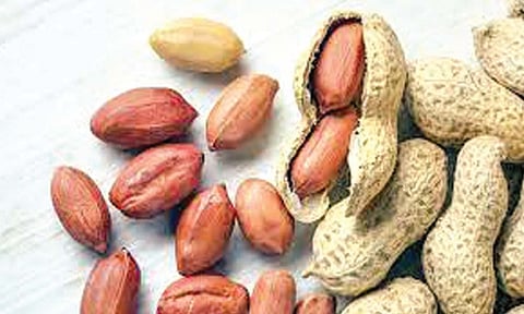 सर्वसामान्यांना महागाईची झळ, शेंगदाणे ३० रुपयांनी महागले, भाजीची चव बिघडली