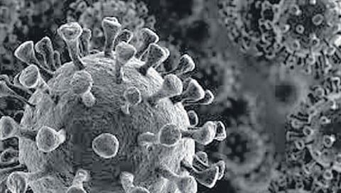 म्यू व्हेरियंट या कोरोनाच्या नव्या विषाणूचा धाेका