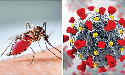 डेंग्यू की कोरोना? यांची वेगवेगळी लक्षणे ओळखा