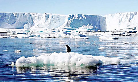 शास्त्रज्ञ करणार टाईम कॅप्सूल चे संशोधन