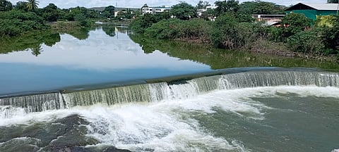 साक्री तालुक्याच्या पश्चिम पट्ट्यात जोरदार पाऊस; पिंपळनेरच्या पांझरा नदीला पूर