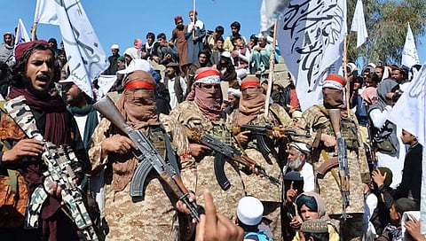 Panjshir Vs Talibani : पंजशीरमध्ये ६०० तालिबान्यांचा खात्मा; १००० कैदेत