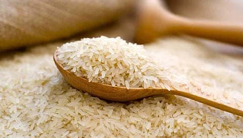 कोल्हापूर : भात हमीभाव नोंदणीसाठी मुदतवाढ