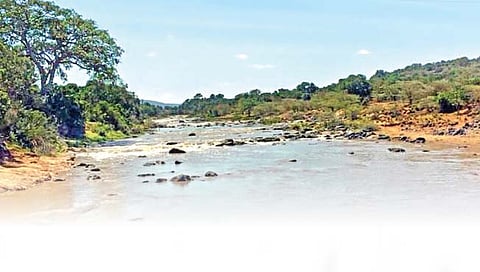 पर्यावरण : नद्यांची शोकांतिका