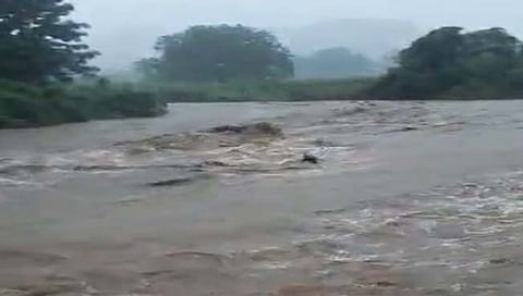 अकोल्यात पावसाचे थैमान; पूरात ५० जनावरे वाहून गेली