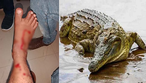 कोल्हापूर: दानोळी येथे वारणा नदीकाठी तरुणावर मगरीचा हल्ला