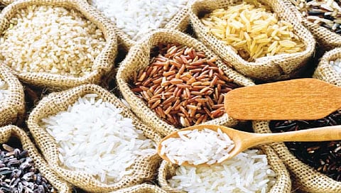 शेती क्षेत्राची भरारी