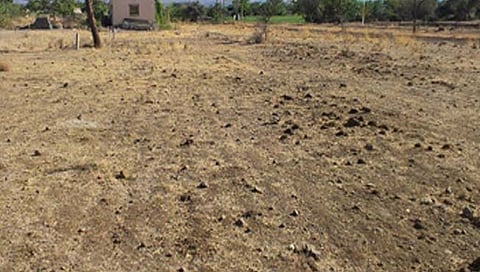 संग्रहित छायाचित्र