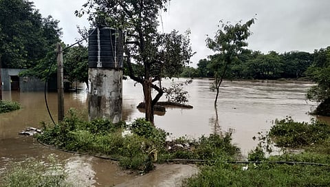 बीड : केज तालुक्यात अतिवृष्टीने हाहाकार; अनेकांची जनावरे गेली वाहून