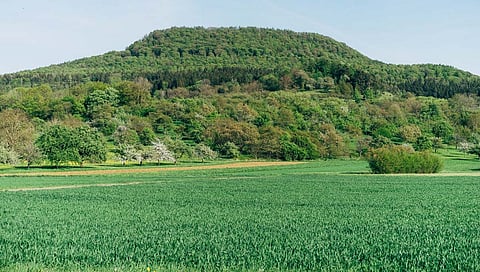 Land management : भू व्यवस्थापन करताना खत आणि पाण्याचे नियोजन असे करावे