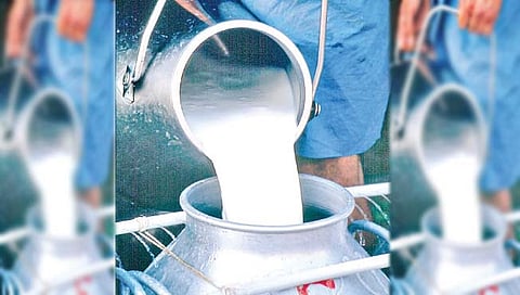 महानंद ची वाटचाल बरखास्तीच्या मार्गावर!