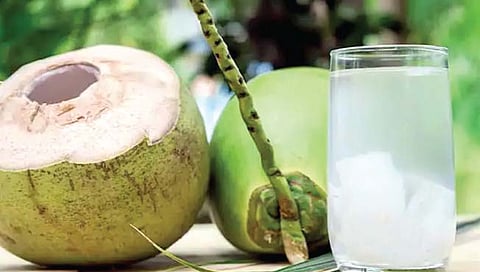 नारळ पाणी : सौंदर्यवर्धनासाठी नारळाचे पाणी अतिशय उपयुक्त