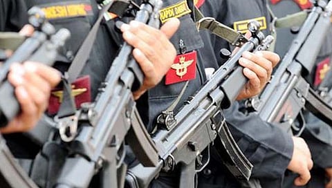 संग्रहित छायाचित्र