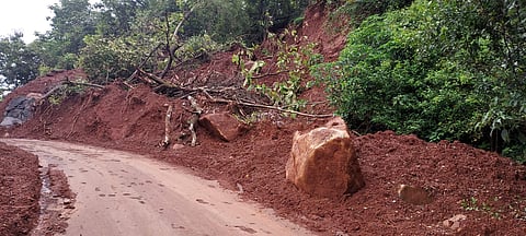 Landslide: चांदोली राष्ट्रीय उद्यानाच्या रस्त्यावर भूस्खलन, वाहतुकीस रस्ता खुला