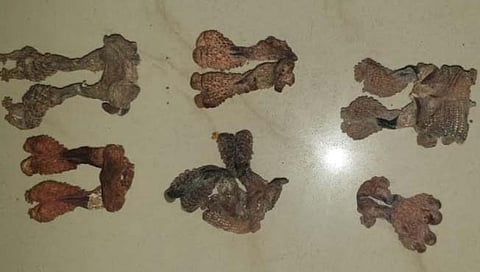 काळी जादू : ठाणे जिल्ह्यावर आजही छाया; कथित डॉक्टर महिलेसह ३ अटकेत