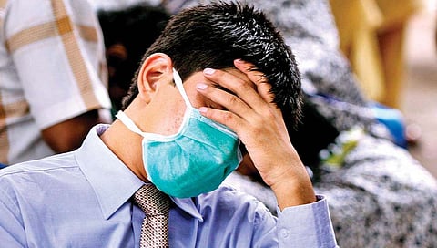 swine flu : कोरोना, डेंग्यूनंतर विदर्भात स्वाईन फ्लूचा धोका, रुग्णसंख्येत अचानक वाढ