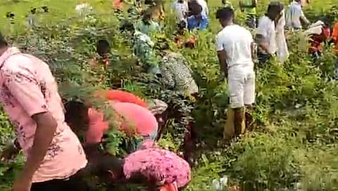 धुळे : ट्रकला अपघात; मासे लुटण्यासाठी नागरिकांची उडाली झुंबड