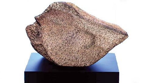 मंगळ ग्रहावरुन आलेली सर्वात मोठी उल्का