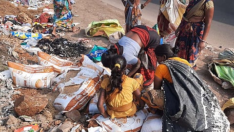 कराड : महामार्गालगत फेकून दिलेले धान्य महिलांनी पळवले