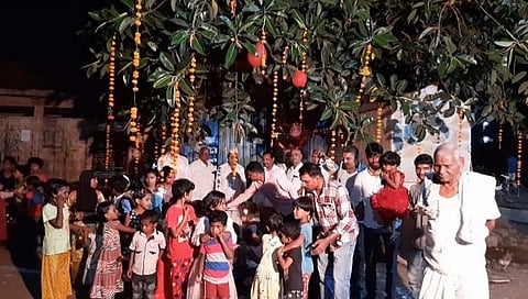 कोल्हापूर झाडाचा वाढदिवस : कोल्हापूरकरांचा नादखुळा गांधी जयंतीला लावलेल्या झाडाचा ९ वा वाढदिवस जल्लोषात साजरा