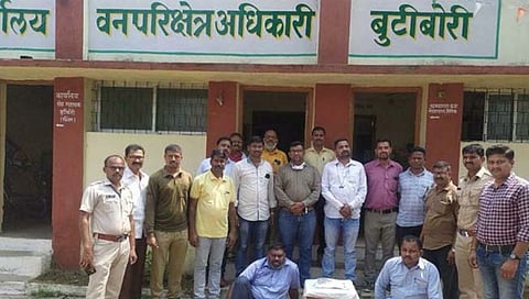 १० दिवसाच्या पट्टेदार वाघाच्या बछड्याला ठार मारले