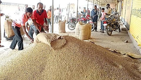 हिंगोली : औंढा नागनाथ उपबाजार समितीमध्ये सोयाबीनचे भाव घसरले