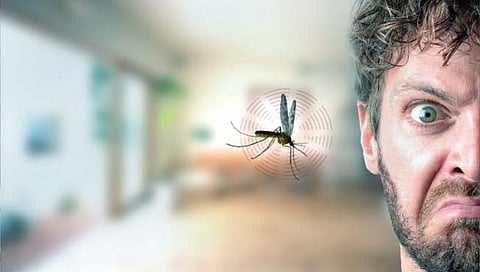 नर डास का फिरतात माणसाभोवती?