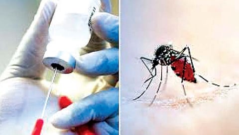 मलेरिया या आजारावर जगातील पहिल्याच लसीला मंजुरी