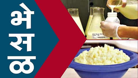 भेसळयुक्त खव्याचे राज्यात ठिकठिकाणी अड्डे