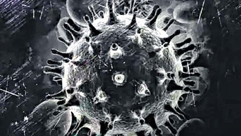 आता डेंग्यूच्या रुग्णांनाही काळ्या बुरशीचा धोका!