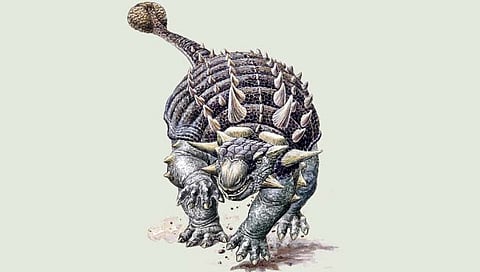 डायनासोरच्या अनोख्या प्रजातीचा शोध