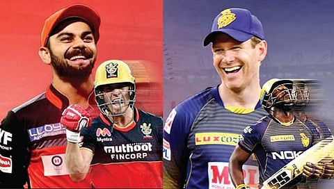 RCB vs KKR : कोण होणार एलिमिनेट?