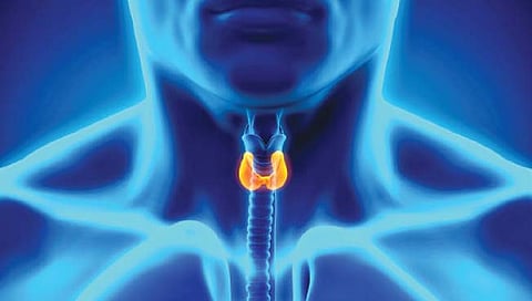 थायरॉईड चे आजार