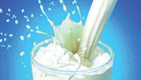 दुग्धजन्य पदार्थाच्या निर्यातीत विक्रमी २००% वाढ