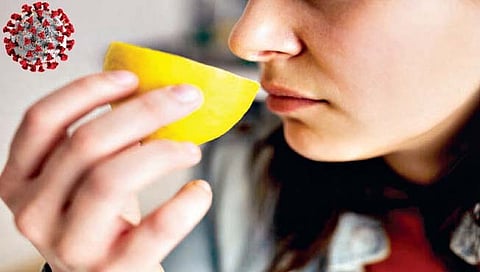 कोव्हिड नंतर तोंडाची चव परत मिळवण्यासाठी…