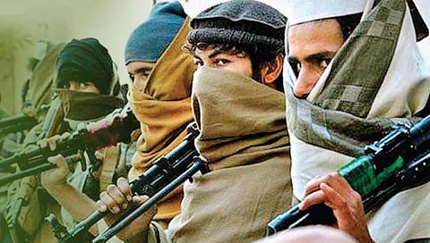 भोपाळमध्ये मोठी कारवाई; ६ जिहादी दहशतवाद्यांना अटक