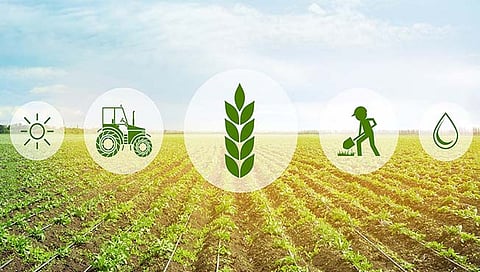 कृषी क्षेत्रात स्वच्छ ऊर्जा