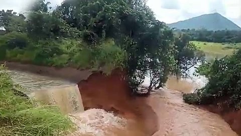 तिलारी धरणाचा डावा कालवा फुटला