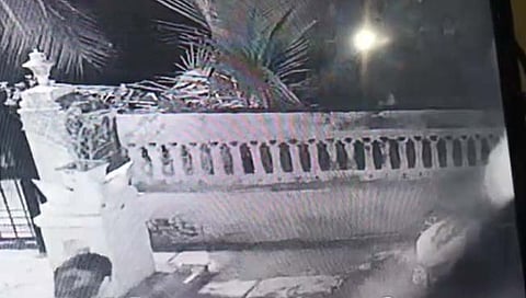 कडूस परिसरात बिबट्या सीसीटीव्हीत कैद