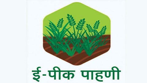 E-crop inspection |