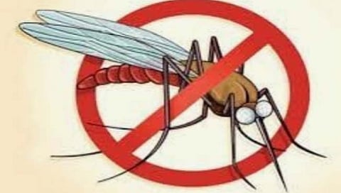 धुळे मनपात सत्ताधारी भाजप नगरसेवकाकडूनच भ्रष्टाचाराचा आरोप !