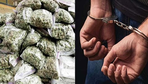 सांगली : ओडिशामधून सांगलीत गांजा तस्करी