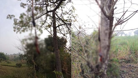 परितेत बिबट्याची दहशत कायम! मोर, लांडोरीची शिकार, भयमय वातावरण