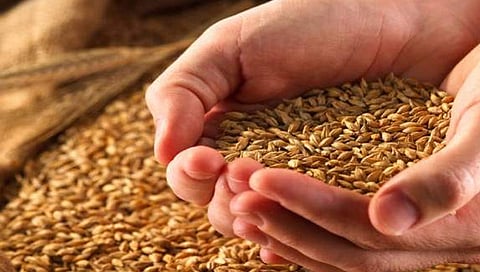 सांगली : रेशनचे मोफत धान्य बंद? जिल्ह्यात साडेसहा लाख शिधापत्रिकाधारकांना फटका