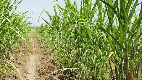 खानापूर : शेतकऱ्यांची बिले थकल्याने यशवंत शुगरला निर्वाणीचा इशारा