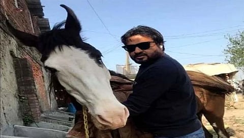 म्हशी शोधून देणारे रामपूर पोलिस आता बेपत्ता घोडी शोधणार