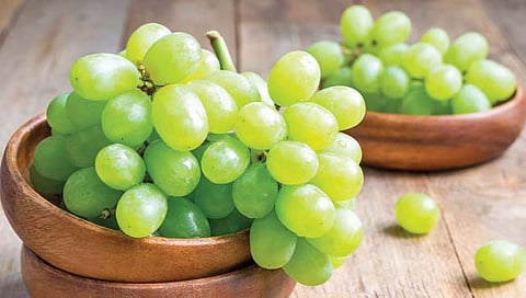 द्राक्षे शरीराच्या पचनसंस्थेसाठी गुणकारी फळ