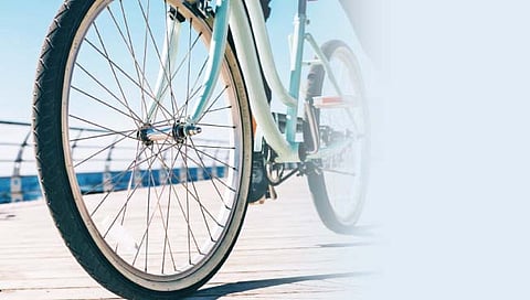 मुंबई : पवईच्या सायकल ट्रॅकला हायकोर्टाचा ब्रेक कायम